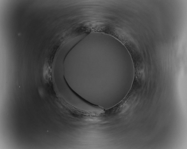 X0000088481010200705291623