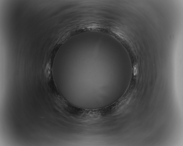 X0000088481011200705291623