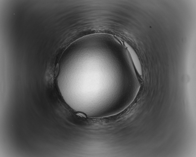 X0000088481012200705291623