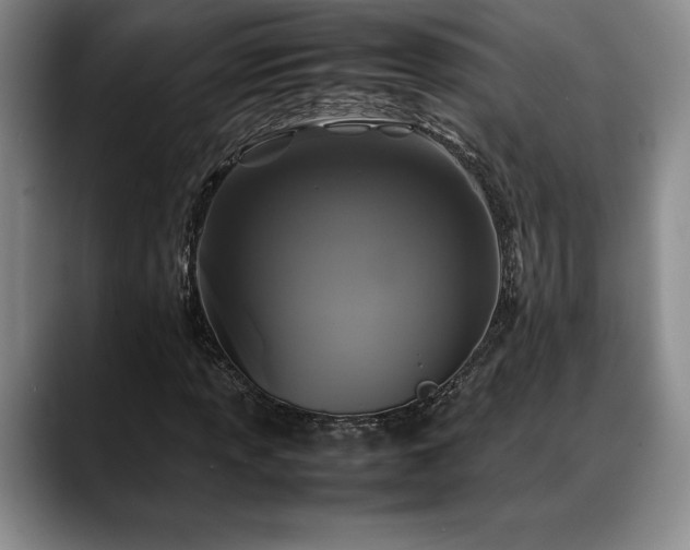 X0000088481013200705291623