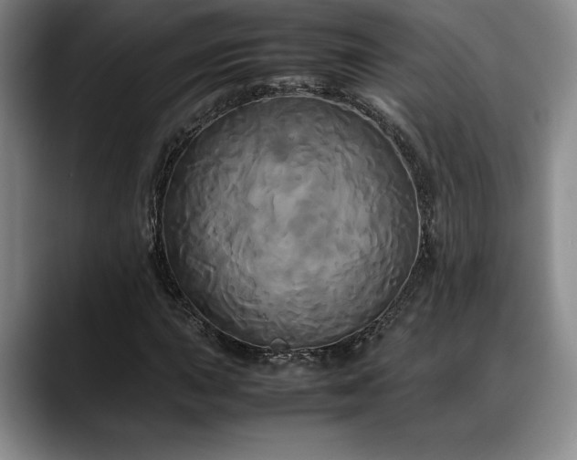 X0000088481015200705291623