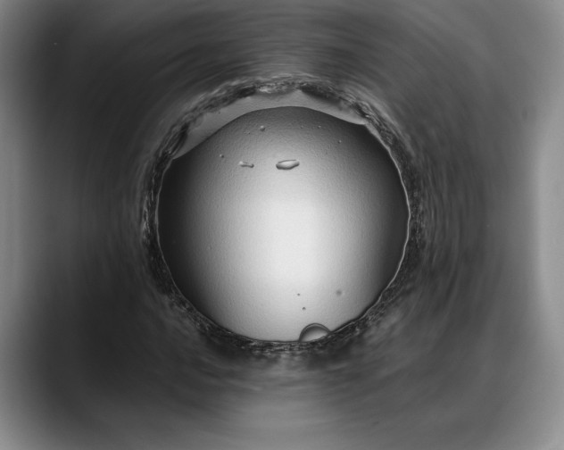 X0000088481016200705291623