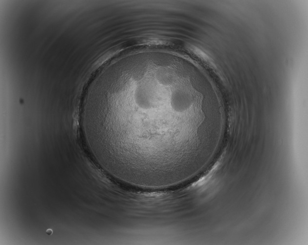 X0000088481017200705291623