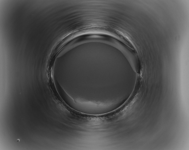 X0000088481018200705291623