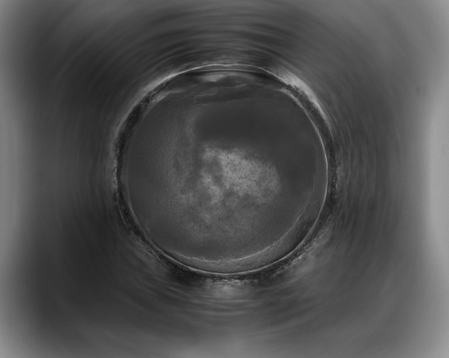 X0000088481019200705291623
