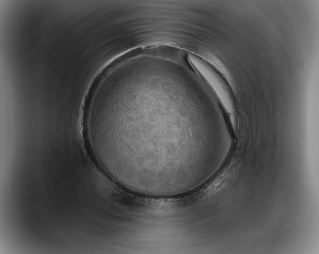 X0000088481020200705291623
