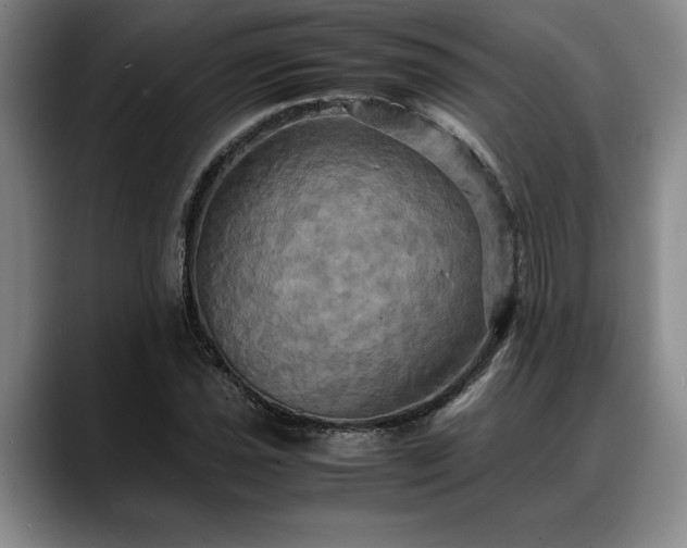 X0000088481021200705291623