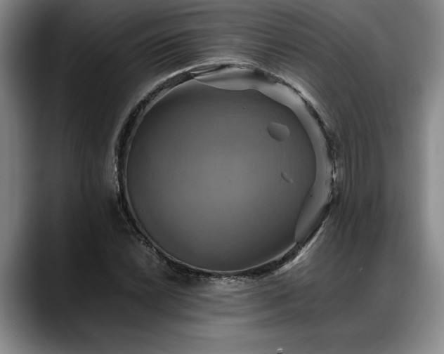 X0000088481022200705291623