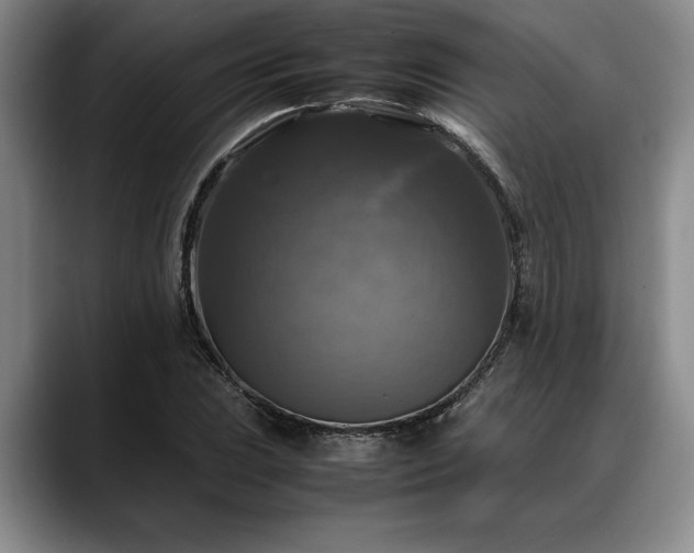 X0000088481023200705291623