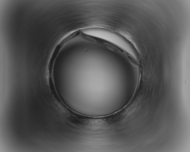 X0000088481024200705291623
