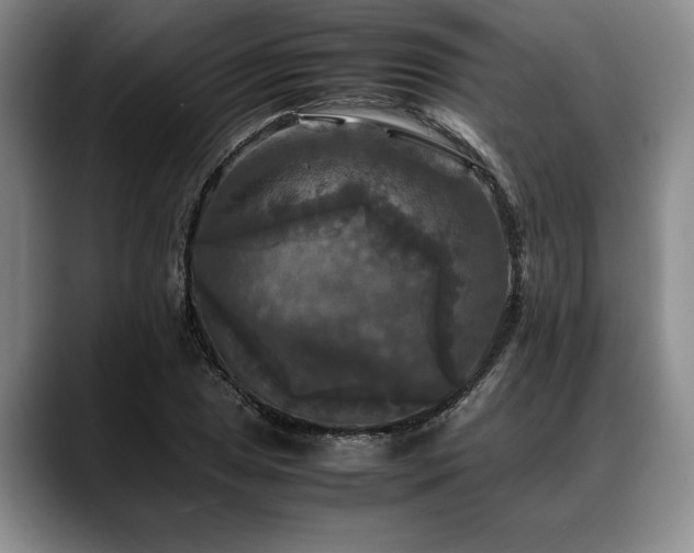 X0000088481025200705291623