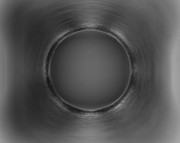 X0000088481026200705291623