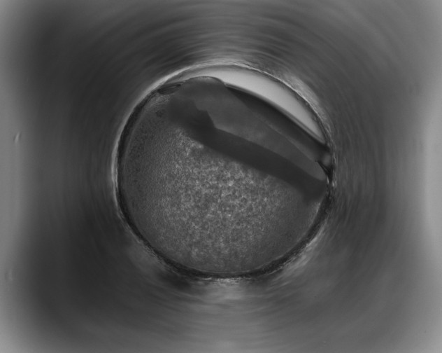 X0000088481028200705291623