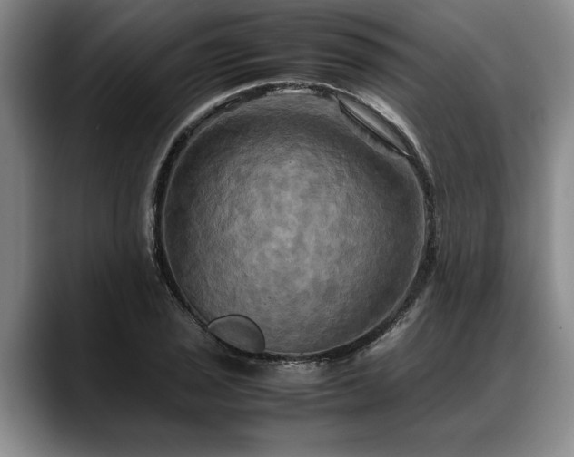 X0000088481029200705291623