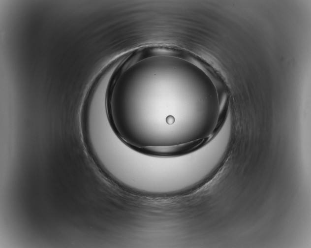 X0000088481030200705291623