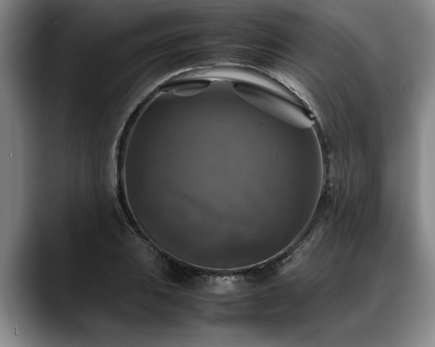 X0000088481031200705291623