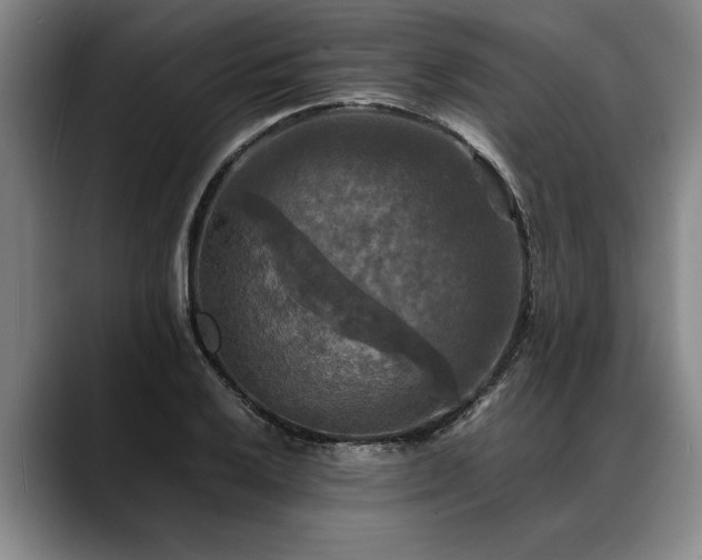 X0000088481032200705291623