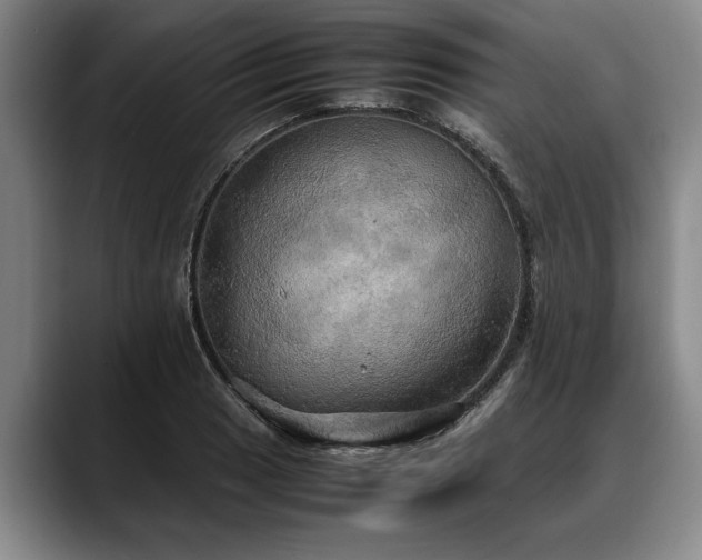 X0000088481033200705291623
