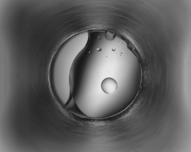 X0000088481034200705291623