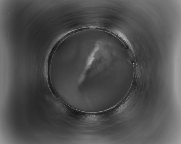 X0000088481035200705291623
