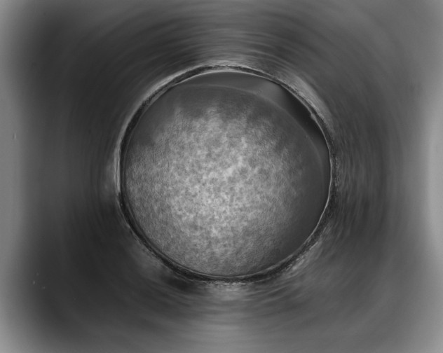 X0000088481036200705291623