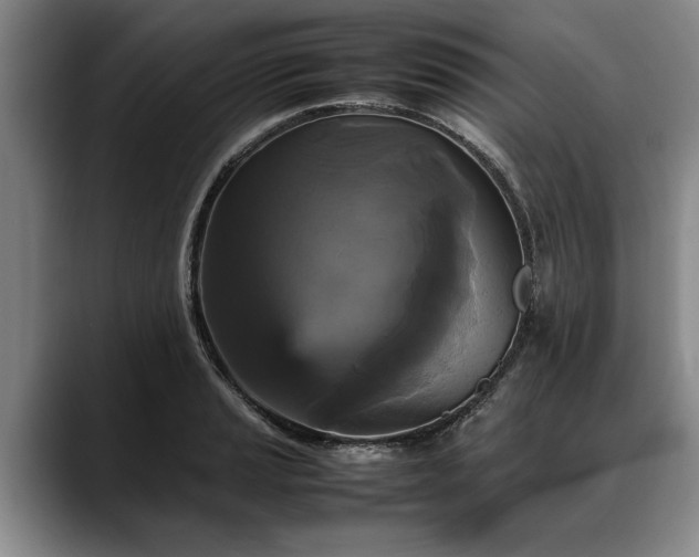 X0000088481037200705291623