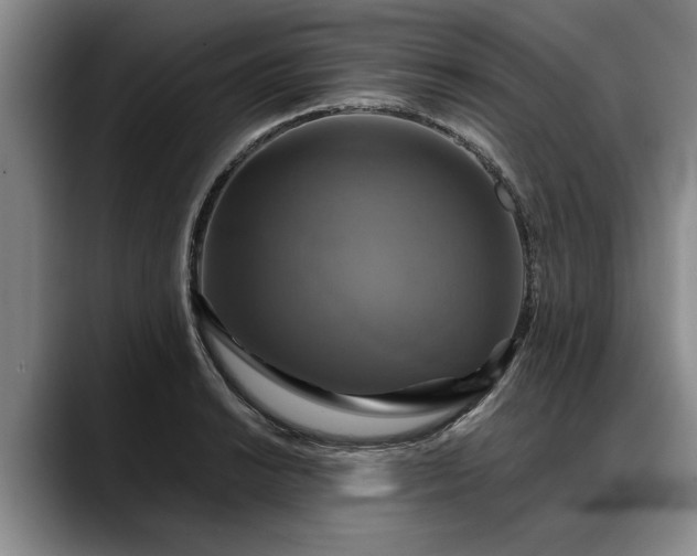 X0000088481038200705291623