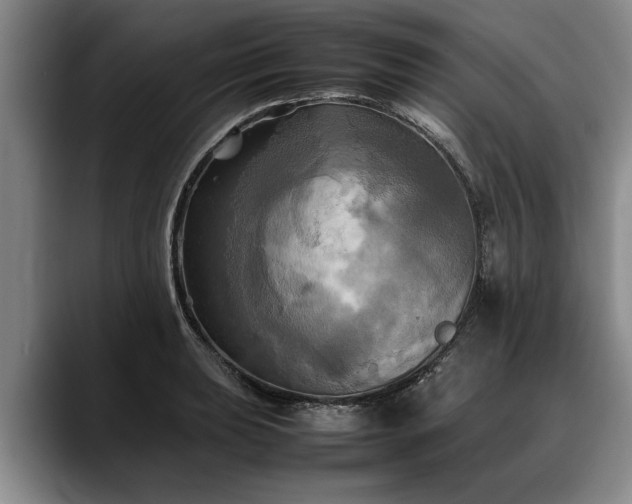 X0000088481039200705291623