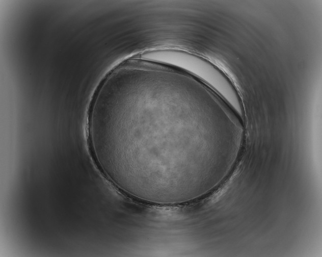X0000088481040200705291623