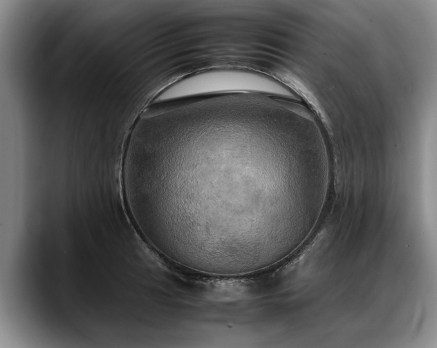 X0000088481041200705291623