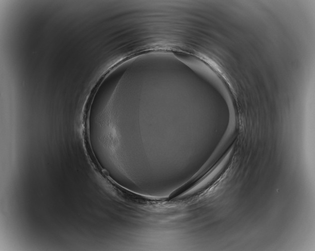 X0000088481042200705291623