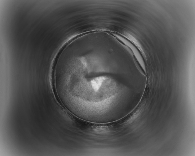 X0000088481043200705291623