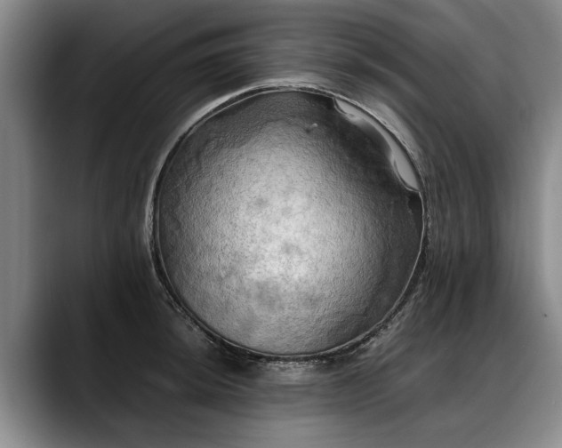 X0000088481044200705291623