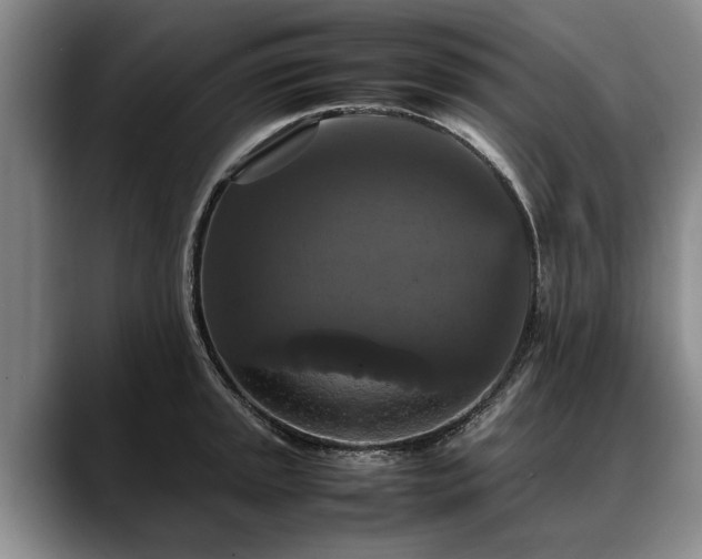 X0000088481045200705291623
