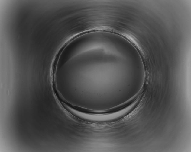 X0000088481046200705291623