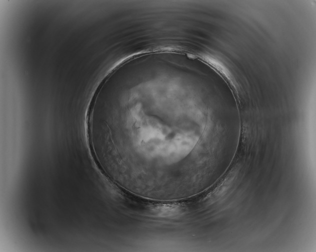 X0000088481047200705291623