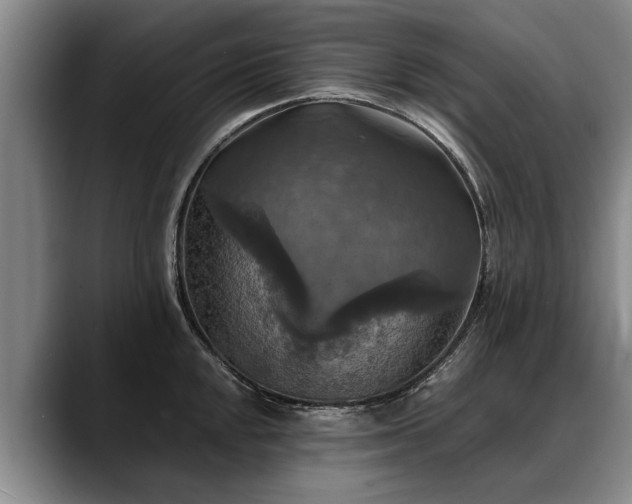 X0000088481048200705291623