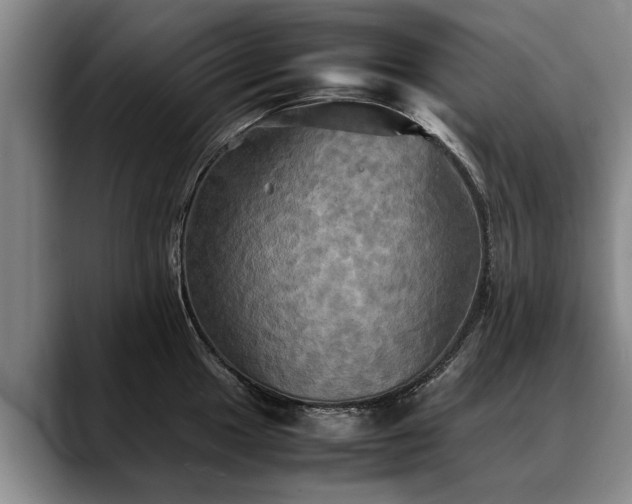 X0000088481049200705291623