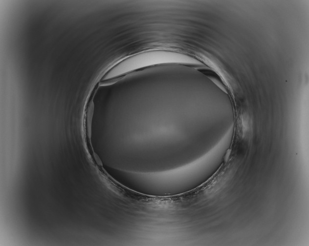 X0000088481050200705291623