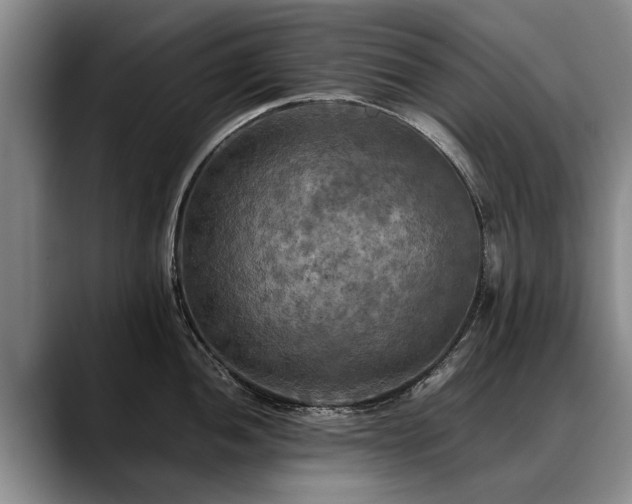 X0000088481052200705291623