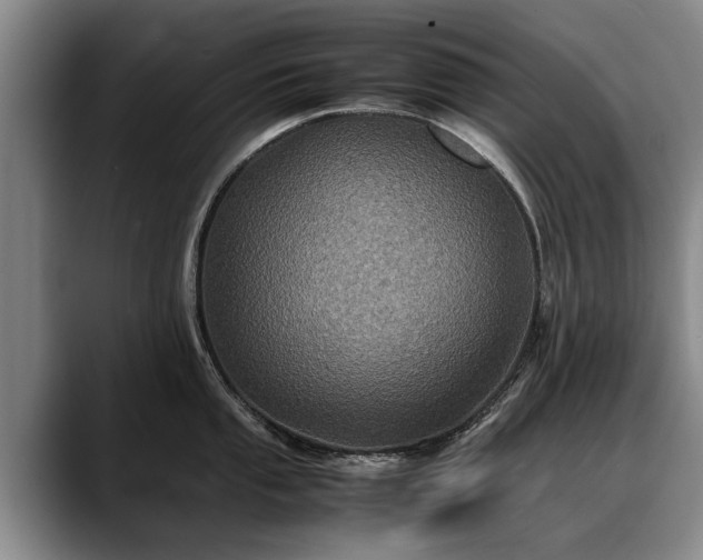 X0000088481053200705291623