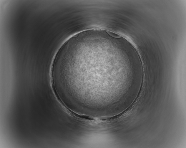 X0000088481056200705291623