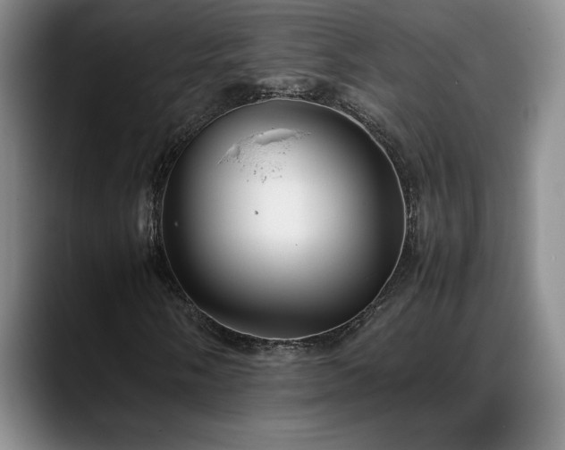 X0000088481058200705291623