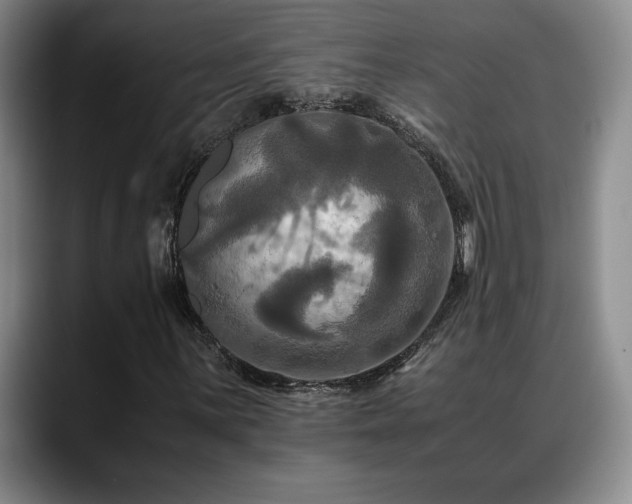 X0000088481059200705291623