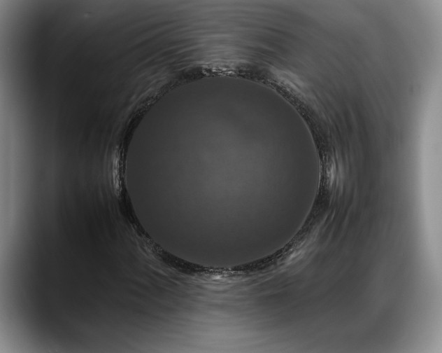 X0000088481060200705291623