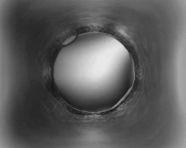 X0000088481061200705291623