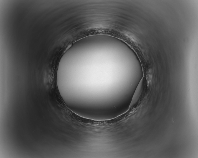 X0000088481062200705291623