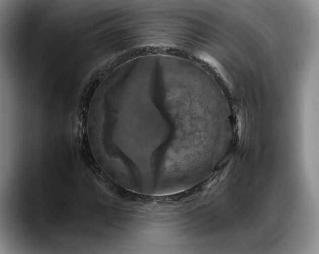X0000088481064200705291623