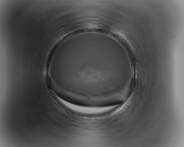 X0000088481065200705291623