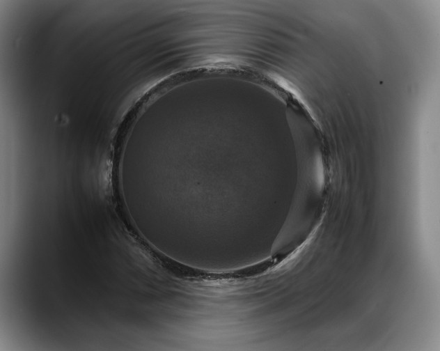 X0000088481066200705291623